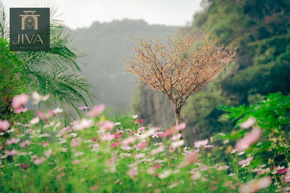 Jiva Hoa Lu Retreat Hotel นิญบิ่ญ ภายนอก รูปภาพ